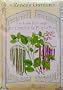 Rattlesnake and Purple Pole Heirloom Bean Seeds 60 Seeds