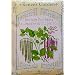 Rattlesnake and Purple Pole Heirloom Bean Seeds 60 Seeds