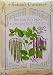 Rattlesnake and Purple Pole Heirloom Bean Seeds 60 Seeds