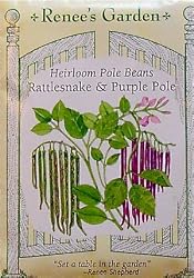 Rattlesnake and Purple Pole Heirloom Bean Seeds 60 Seeds