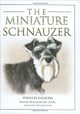 The miniature schnauzer
