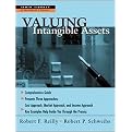 Valuing Intangible Assets (Irwin Library of Investment Finance) (Illustrated) (Hardcover)