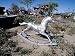 Antique Store Rocking Horse Photograph - Beautiful 16"x20" Photographic Print by Carol M. Highsmith