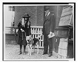 Historic Print (L): Seventh annual Dog Show of the Washington Kennel Club