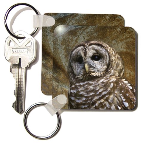 Angel Wings Designs Wildlife - Barn Owl fine art image - home décor - Key Chains