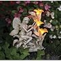 Reflection Solar Fairy Light