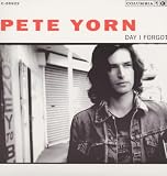 Day I Forgot [Vinyl]