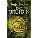 Die Druidin: Ein historischer Roman