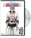 Bleach, Vol. 29
