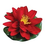 Water Pond Decor