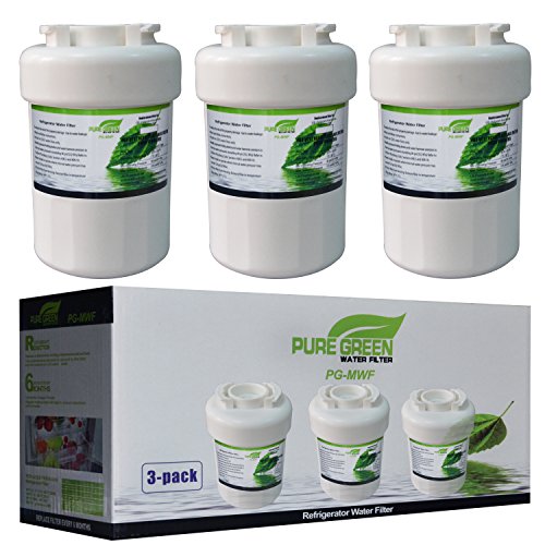 GE MWF Refrigerator Water Filter review Best Water Filter Reviews