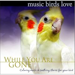 Music Birds Love: While You Are Gone
