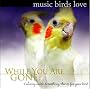 Music Birds Love: While You Are Gone