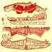 Drum's Not Dead [CD + DVD]