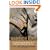 Warrior King: The Triumph and Betrayal of an American Commander in Iraq