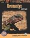 Uromastyx (Complete Herp Care)