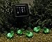 5 Solar powered frog garden lights