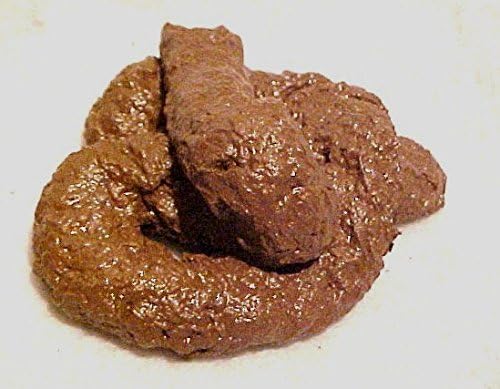 Redman Cb Gifts Gag Prank College Humor Fake Dog Crap Poop Pile