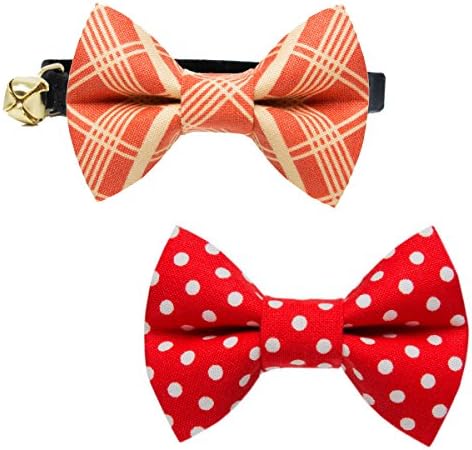 Business Cat Bow Tie - 2 Piece Set with Breakaway Collar (The Founder Set)