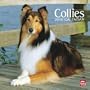 Collies 2010 Square Wall