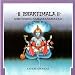 Vishnu Sahasranamavali Volume 1 [Explicit]