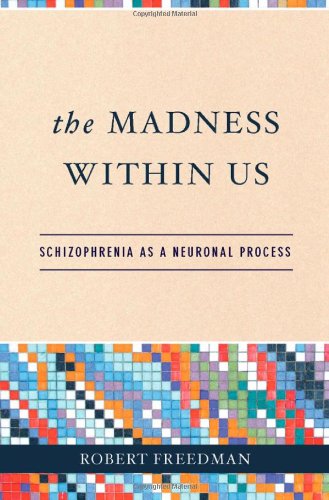 the madness within us schizophrenia as a neuronal process