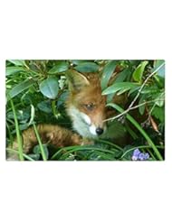 From Amazon.com. Click for details:
 Lawn & Patio: Rock Bull Doormat - Roxy Foxy, 23.6"x15.7" - Rock Bull Lawn & Patio: Rock Bull Doormat - Roxy Foxy, 23.6"x15.7" - Rock Bull