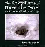 The Adventures of Forest the Ferret