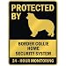 PROTECTED BY  BORDER COLLIE HOME SECURITY SYSTEM  PARKING SIGN DOG