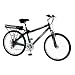 Currie EZip Eco Ride Electric Bike