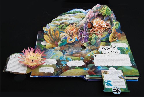Cover image : Wild Oceans: A Pop-up Book with Revolutionary Technology
