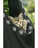 Photographic Prints of European brown Tabby Cat - Kitten in carrier from Ardea Wildlife Pets