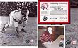 Bill Willis Cleveland Browns Autographed 8x10 Photograph with "HOF 77" Inscripti