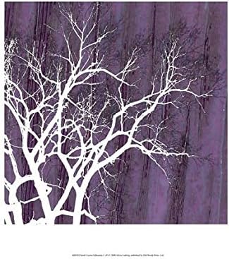 Small Aurora Silhouette II (P). Alicia Ludwig Art Print 13 x 19