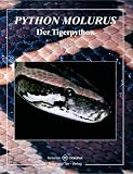 Tigerpython - Henry Bellosa
