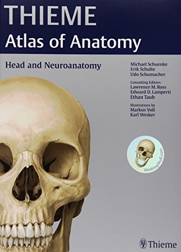 By Michael Schuenke Head and Neuroanatomy (THIEME Atlas of Anatomy) (1st edition)