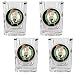 Boston Celtics NBA 4pc Square Shot Glass Set by Great American Products