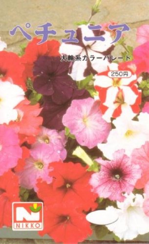 ペチュニア　大輪系カラーパレード　種子 [日光種苗]