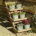 Wooden Ladder Garden