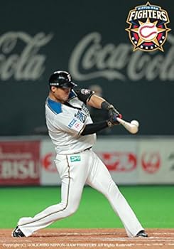 (仮)北海道日本ハムファイターズ 中田翔 打点王 打撃の流儀 [DVD]