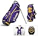 NFL Minnesota Vikings Stand Golf Bag