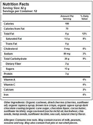 Vega Snack Bar Dark Chocolate Cashew Cherry -- 12 Bars
