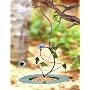 Hummingbird Hanging Bird Feeder
