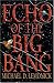 Book Echo of the Big Bang