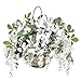 House of Silk Flowers Artificial White Wisteria Hanging Basket
