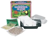 Make Your Own Chewing Gum Kit