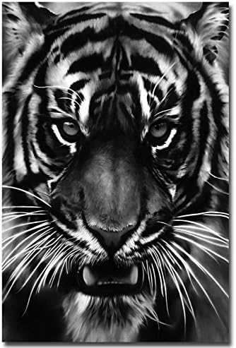 Jane Pop Tiger Nature Art Poster Print For Home Room Decor Black White 2 24X36 Inch