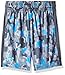 Under Armour Boys' Atlas Eliminator Short