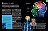 The Brain Book: Development, Function, Disorder, Health The Brain Book: Development, Function, Disorder, Health