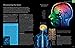 The Brain Book: Development, Function, Disorder, Health